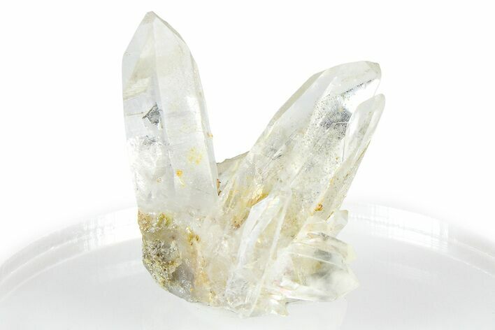Quartz Crystal Cluster - Porter Claim, Washington #361297